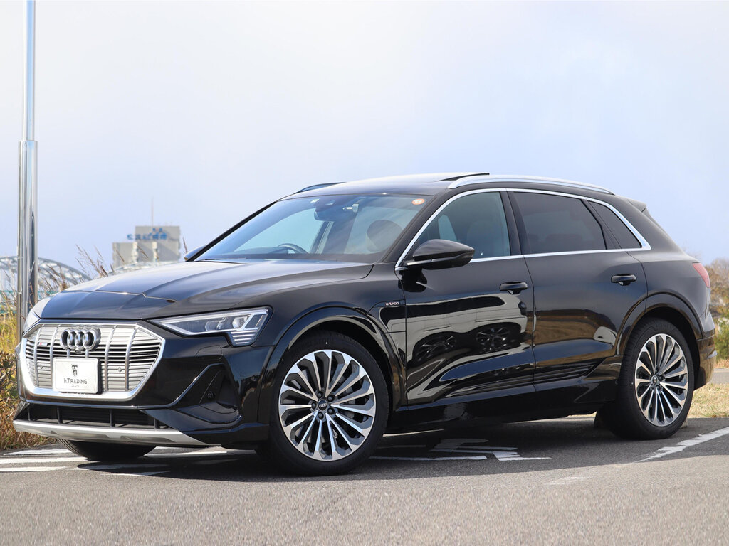 Audi e-tron (GEEAS, GEEASB) 1 поколение, джип/suv 5 дв. (12.2020 -  н.в.)